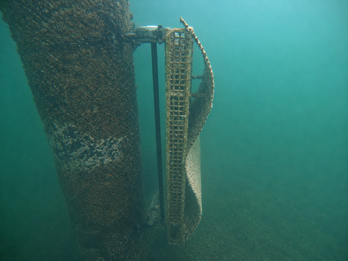 Mares Circulares, el proyecto de conservación de océanos 