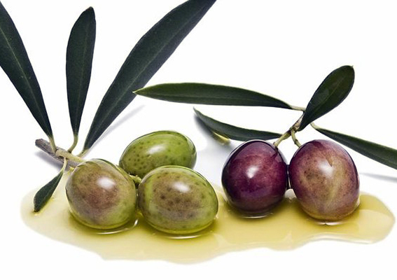 La UE registra la nueva Denominación de Origen Protegida aceite de las Sierras Espadán y Calderona