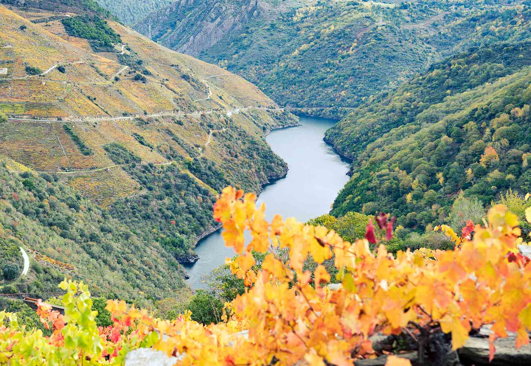La Ribeira Sacra tendrá que esperar
