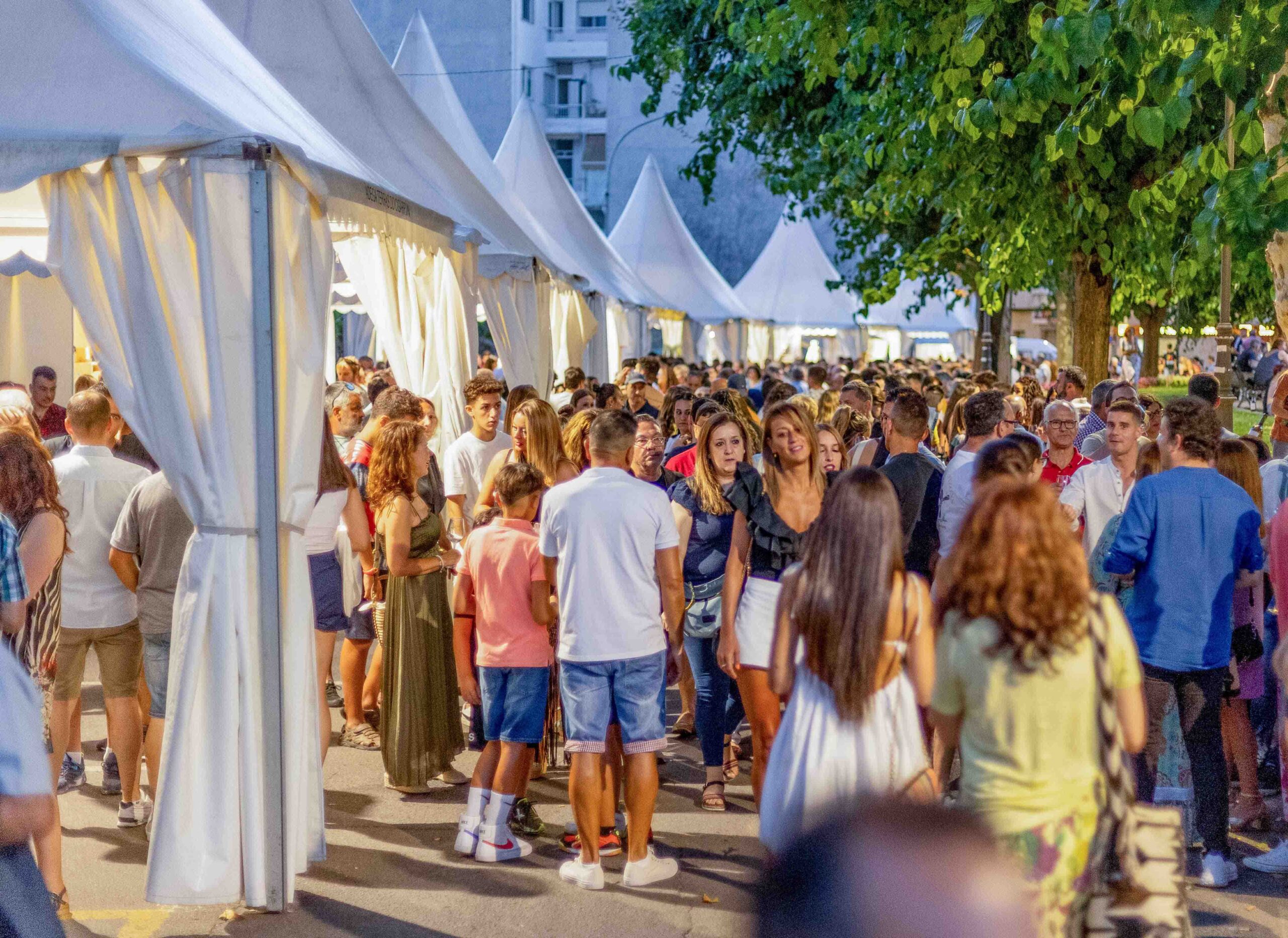 Tres días de actividades en la XIX Feria del Vino de Monterrei