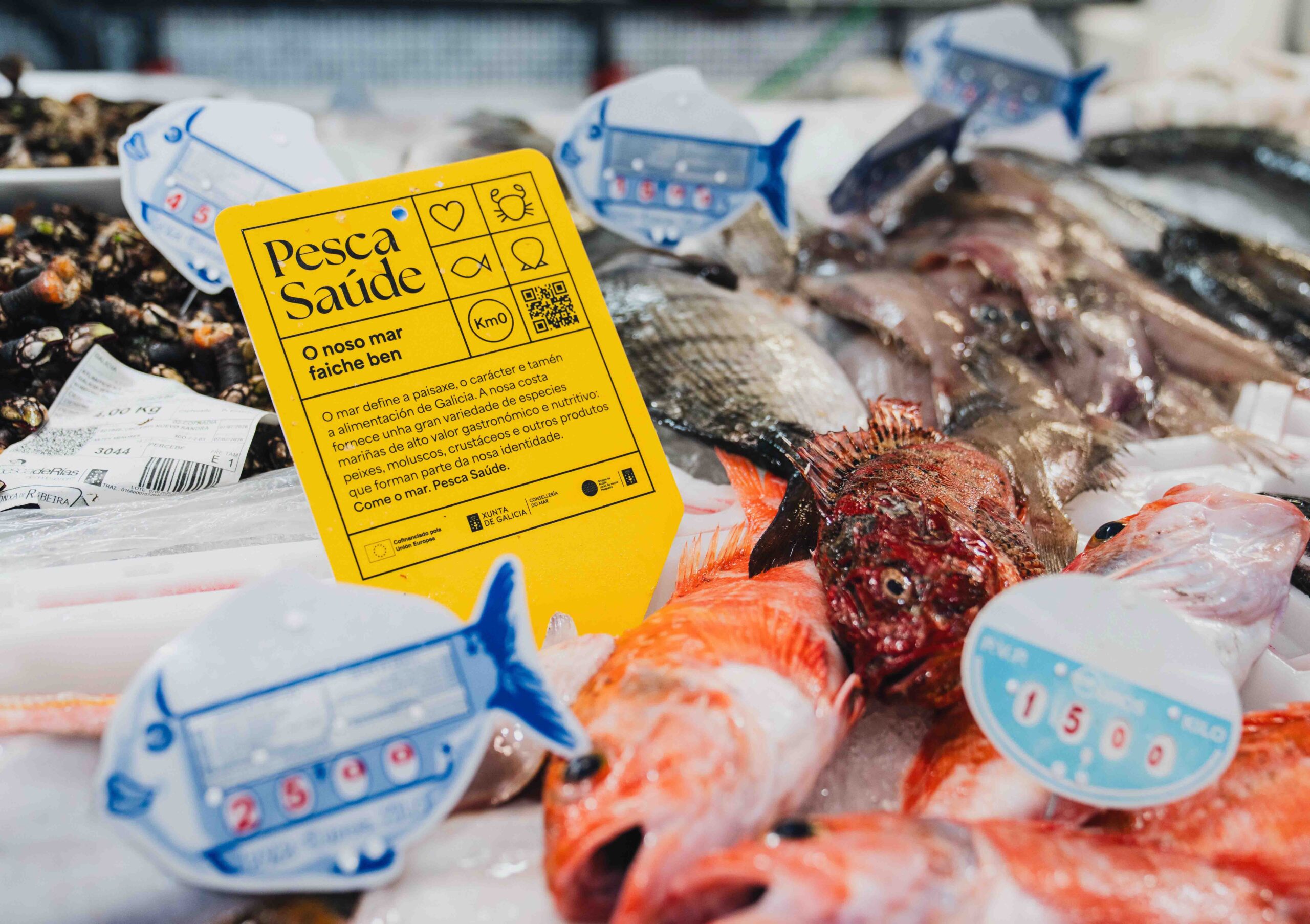 Pesca Saúde volverá en otoño con nuevos talleres de cocina